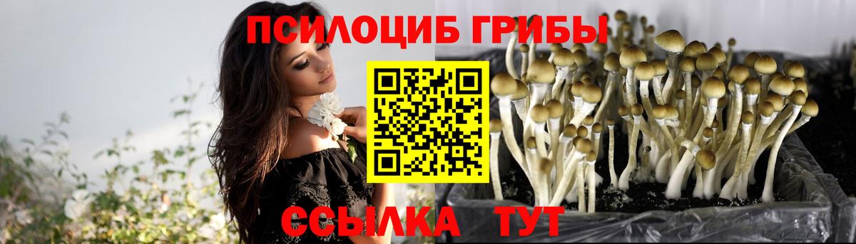 Галлюциногенные грибы ЛСД  Вход с VPN  Галлюциногенные грибы прущие грибы  Рязань 